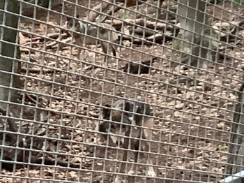 IMG_5579.jpeg
