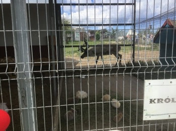 IMG_9406.jpeg