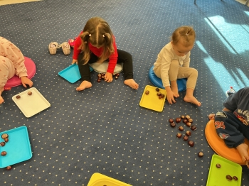 IMG_9581.jpeg