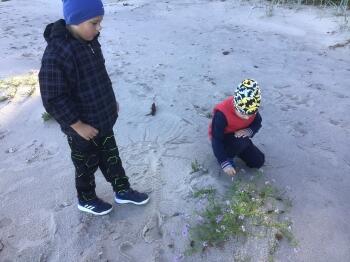 ACBCD46E-C6EF-406C-921D-CF6E789758B4.jpeg