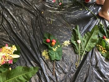 IMG_5091.jpeg