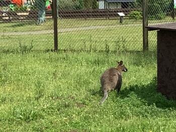 IMG_3297.jpeg