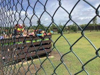 IMG_3269.jpeg