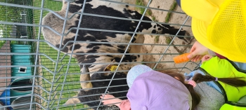 IMG_6090.jpeg