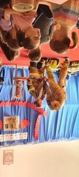IMG_6507.jpeg